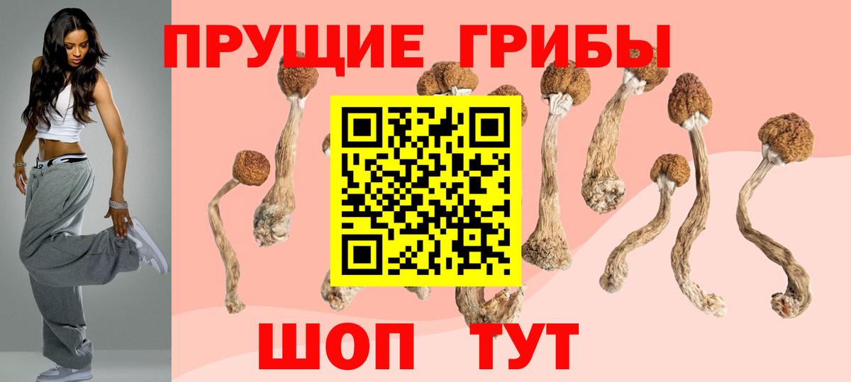 Псилоцибиновые грибы Psilocybine cubensis Фрязино